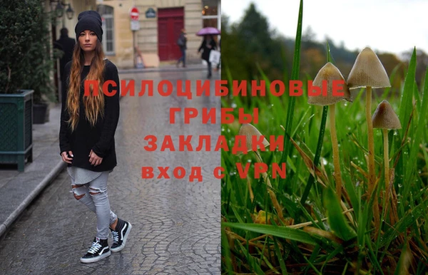 бутират Алексин
